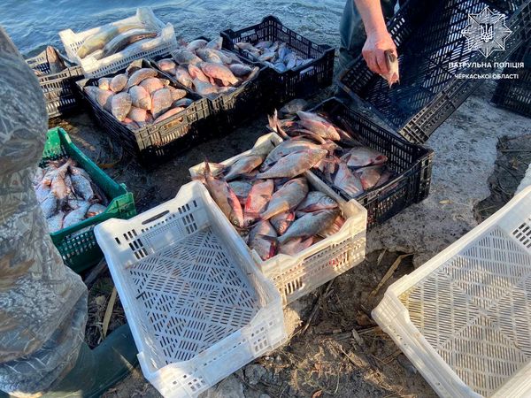 На Черкащині промисловий рибалка наловив риби на 200 тисяч гривень | Новини Умані