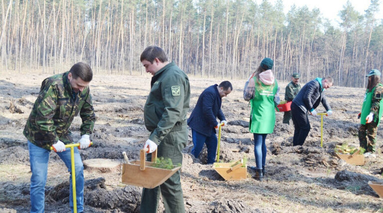 ОТГ Смілянщини не хочуть створювати нові ліси