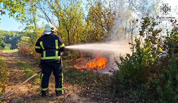 На Черкащині сталася пожежа сухої трави (ФОТО)